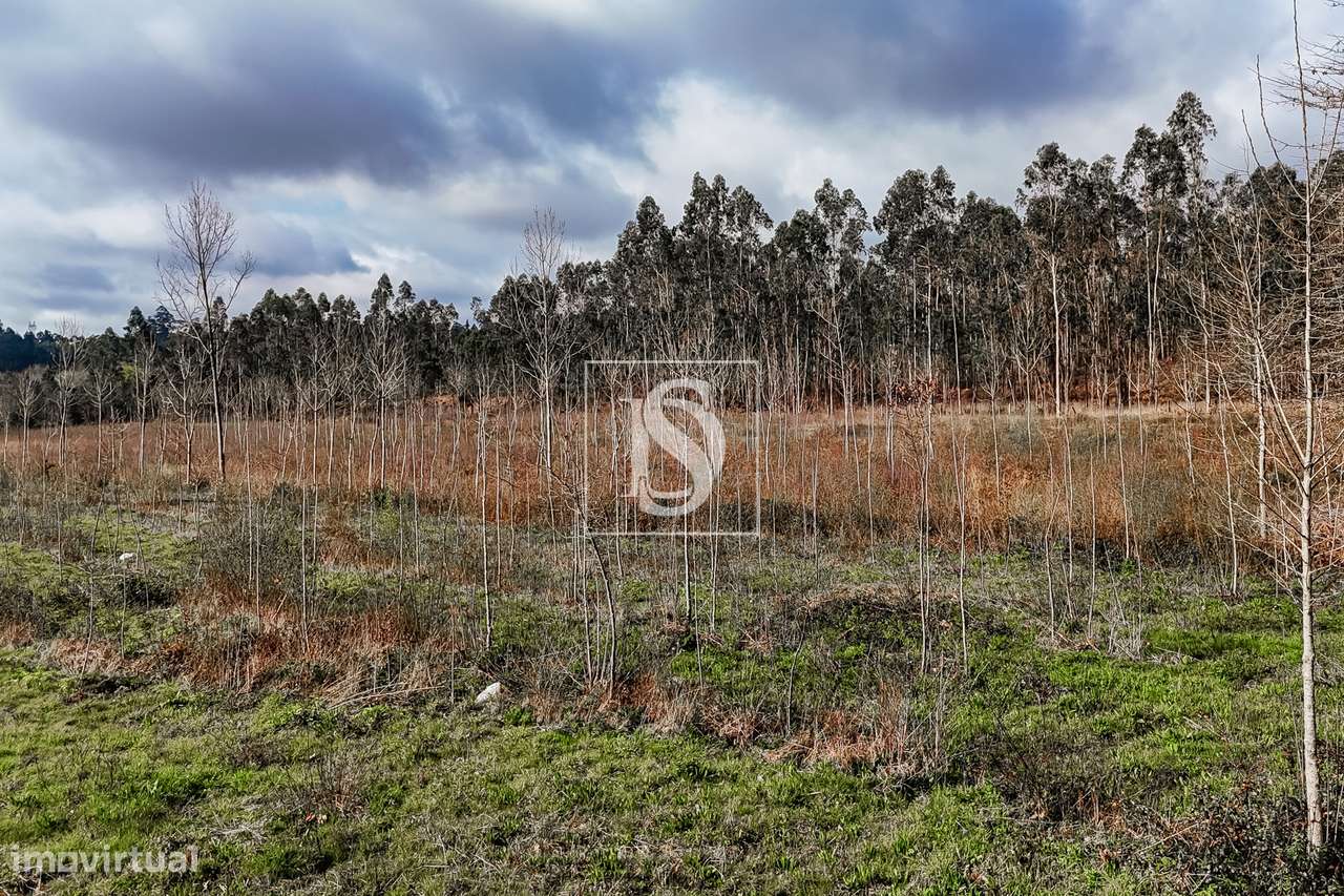 Terreno Rústico  Venda em Associação de freguesias do Vale do Neiva,Po-24