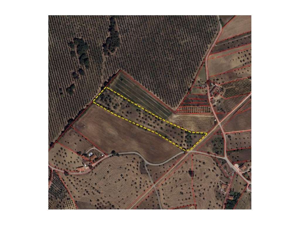 Terreno - Terra Fria, Casével, Santarém-3