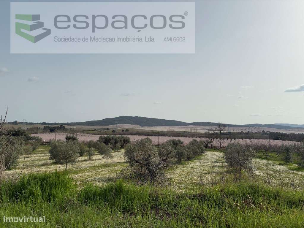 Magnifica Quinta - Grande imagem: 4/46