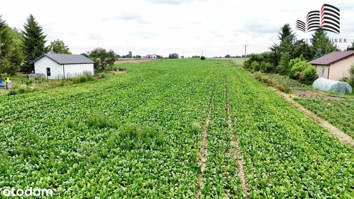 Działka ul. Zagajnikowa Lublin-5