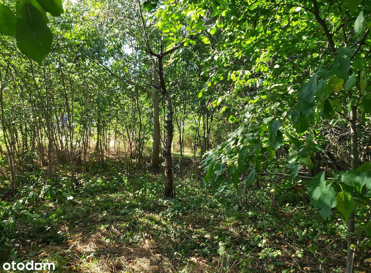 Wyjątkowa działka – jedno z ostatnich takich miejsc - MPZP - Pełny obrazek: 4/6