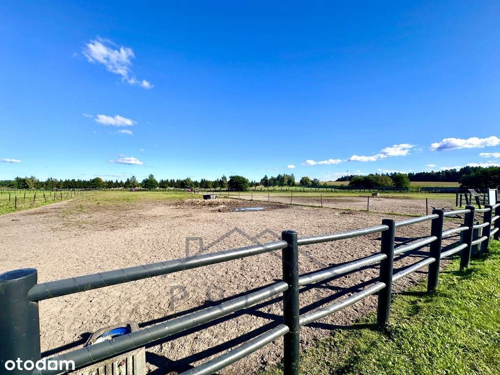 Wyjątkowa nieruchomość/Hodowla Koni/Agroturystyka - Pełny obrazek: 4/16