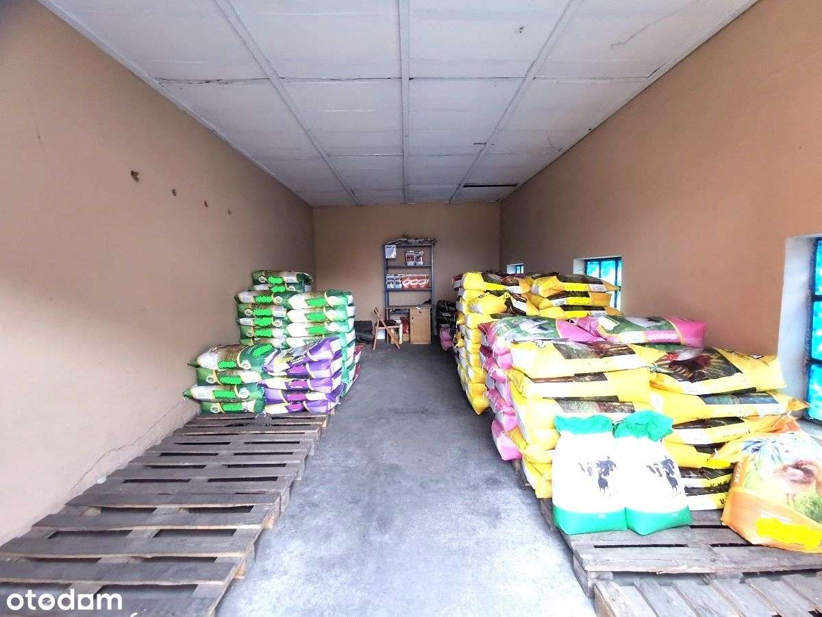 Warsztat z garażem i bud. mieszk. w Szkudli k. - Pełny obrazek: 5/16