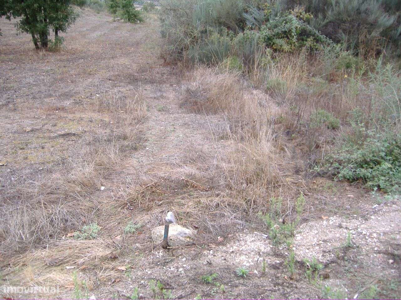 Chaves Vilela Seca - Grande imagem: 5/6