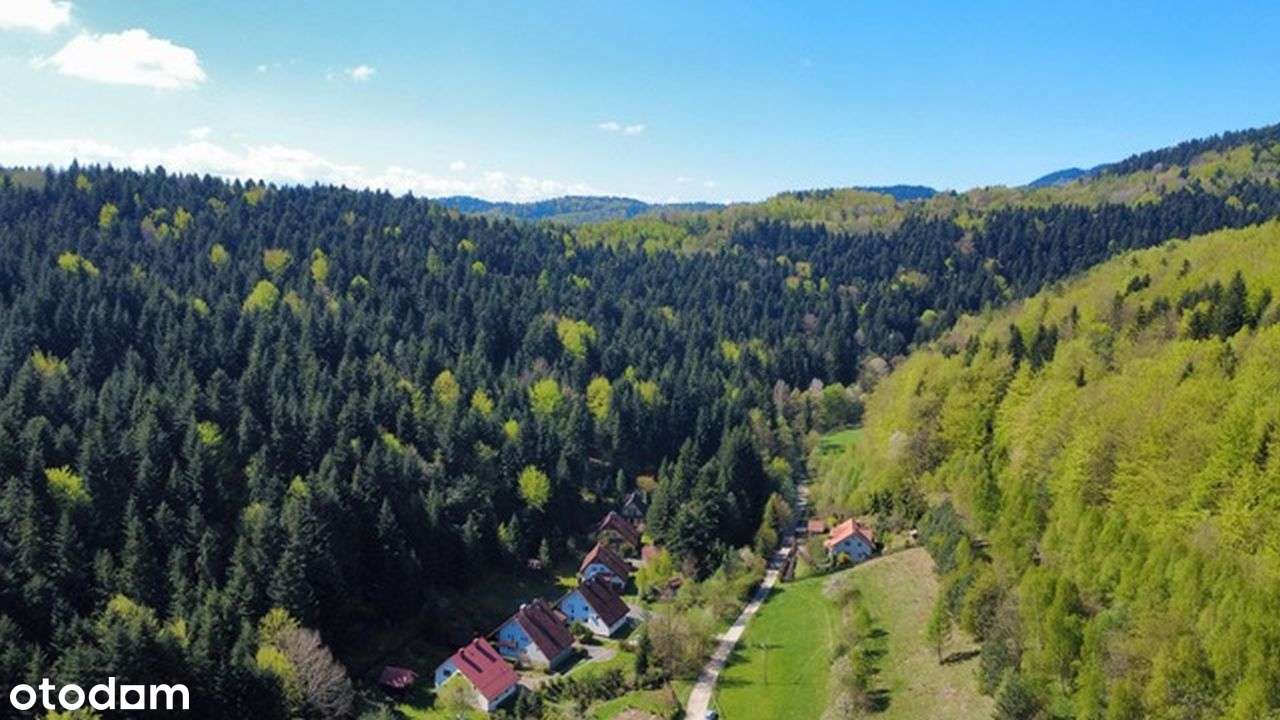 Dom marzeń, zamieszkaj w otoczeniu lasów, gór i jeziora już dziś! - Pełny obrazek: 4/11