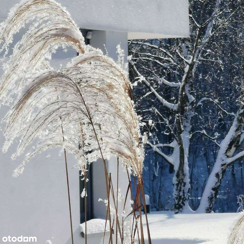 Działka budowlana 1275 | Domy Nad Stawami Żernica 10 min. do Gliwic-13