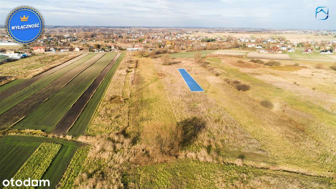 Działka rolna w lubelskiej strefie ekonomicznej - Pełny obrazek: 3/3