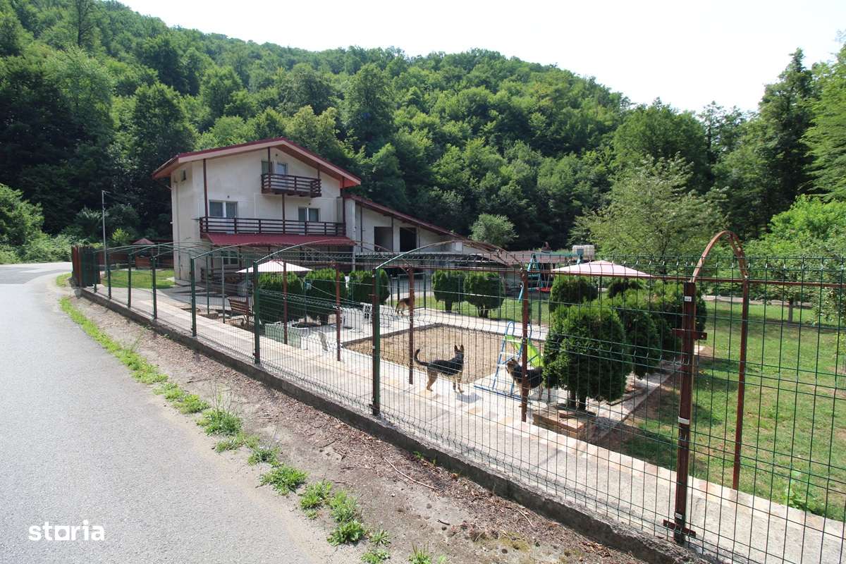 Vând casă P+E+M în Govăjdia, la 14km de Hunedoara, teren 1100mp, garaj-0
