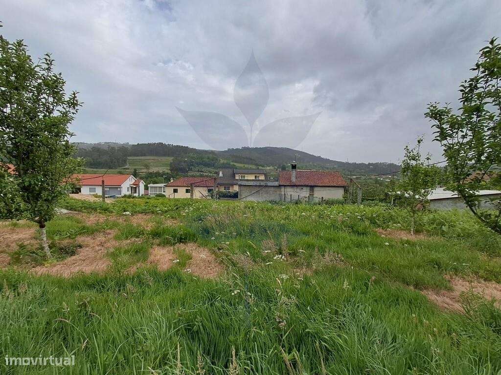 Terreno p/construção Ribeira do Neiva - VILA VERDE-7