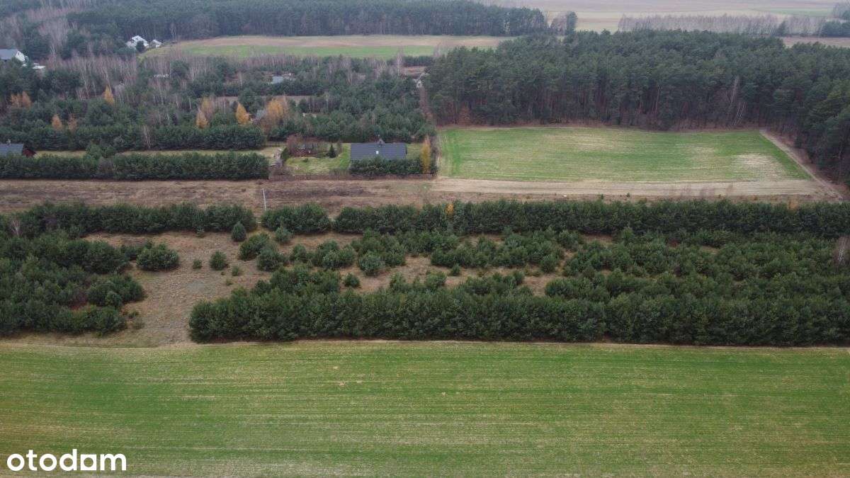 Działka budowlana z lasem-8