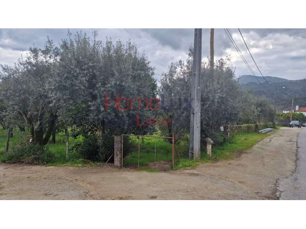 Terreno em Santiago de Besteiros - Grande imagem: 3/16