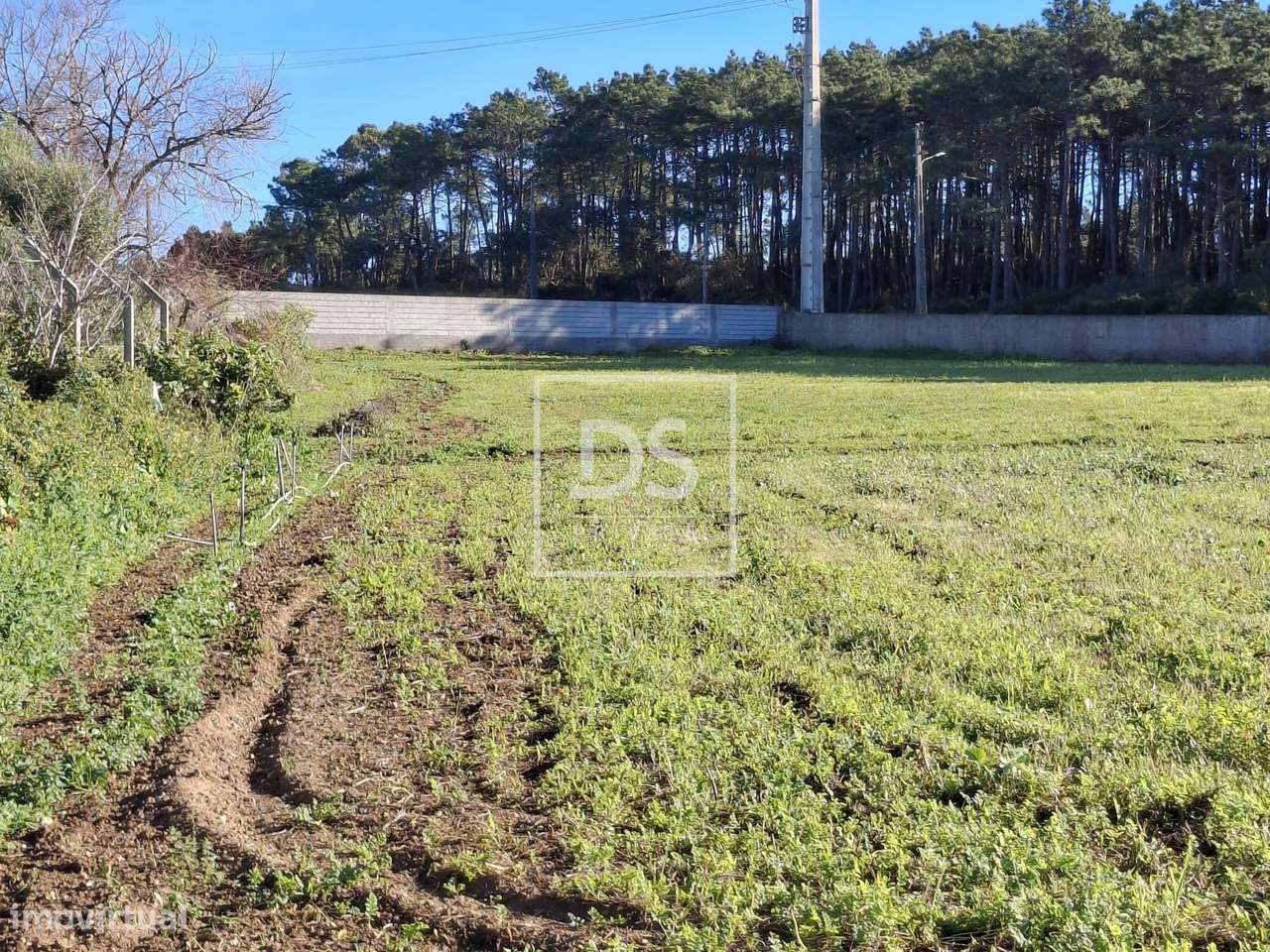 Terreno para Construção em Ericeira - Grande imagem: 5/13