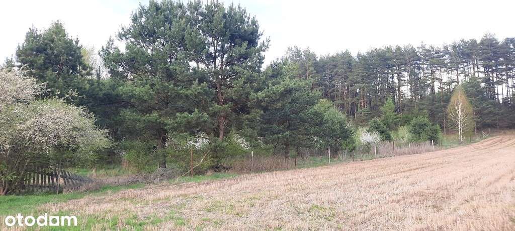 Działka przy ul. Wichrowej/Studzianki - Pełny obrazek: 4/4