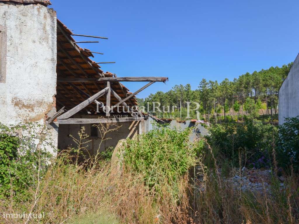 Casa rural em pedra de xisto com quintal, Proença-a-Nova - Grande imagem: 3/10
