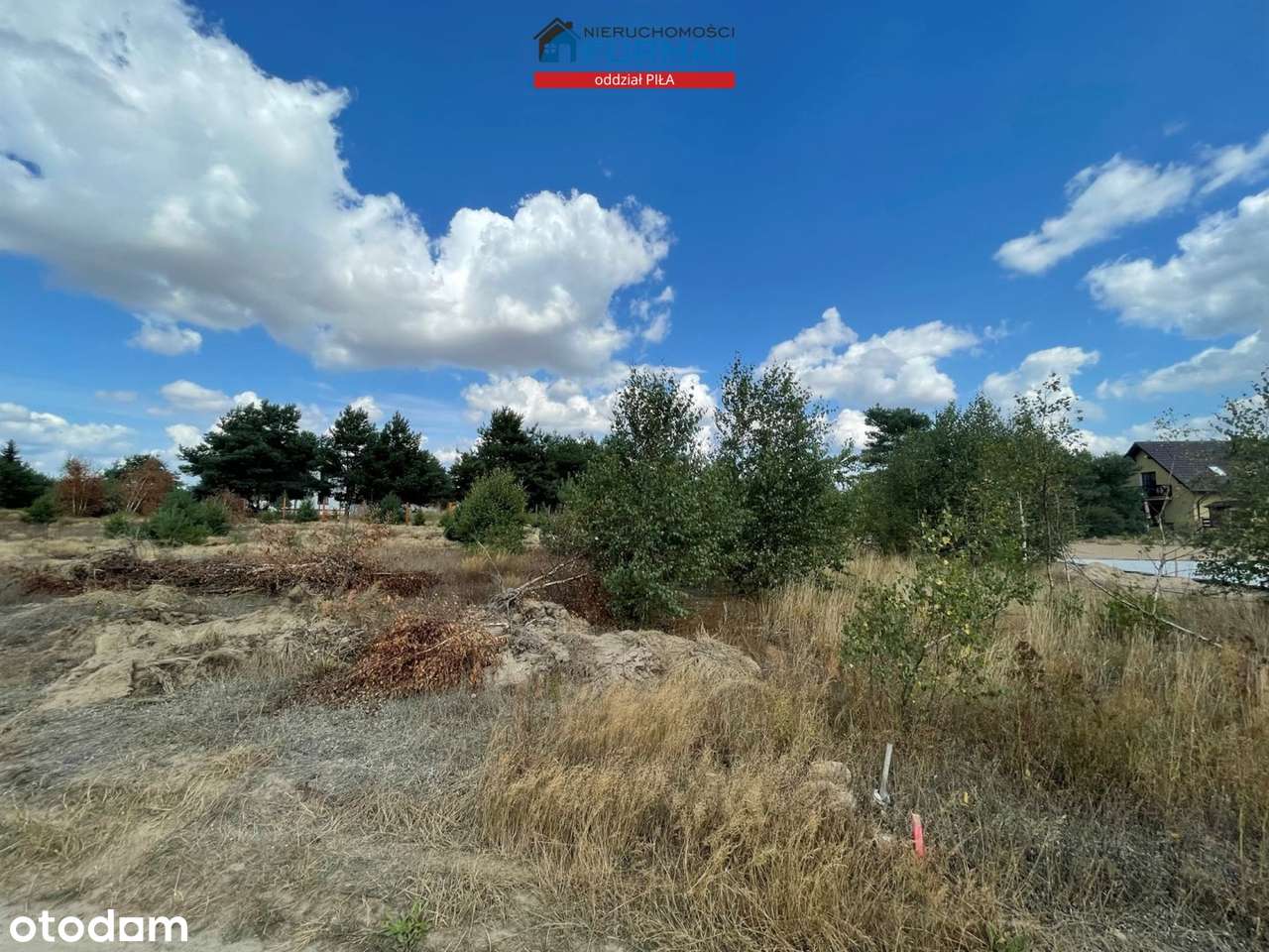 Działka na sprzedaż, Szydłowo (gw) - Pełny obrazek: 5/7