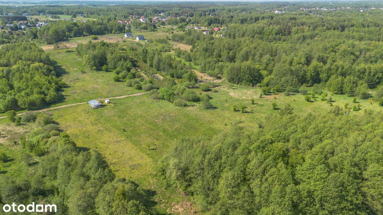 Działka  - Lewickie 5200 m - Pełny obrazek: 5/8