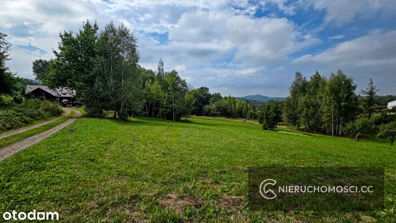 Działka budowlana 26ar - KRZYWACZKA - Pełny obrazek: 4/15