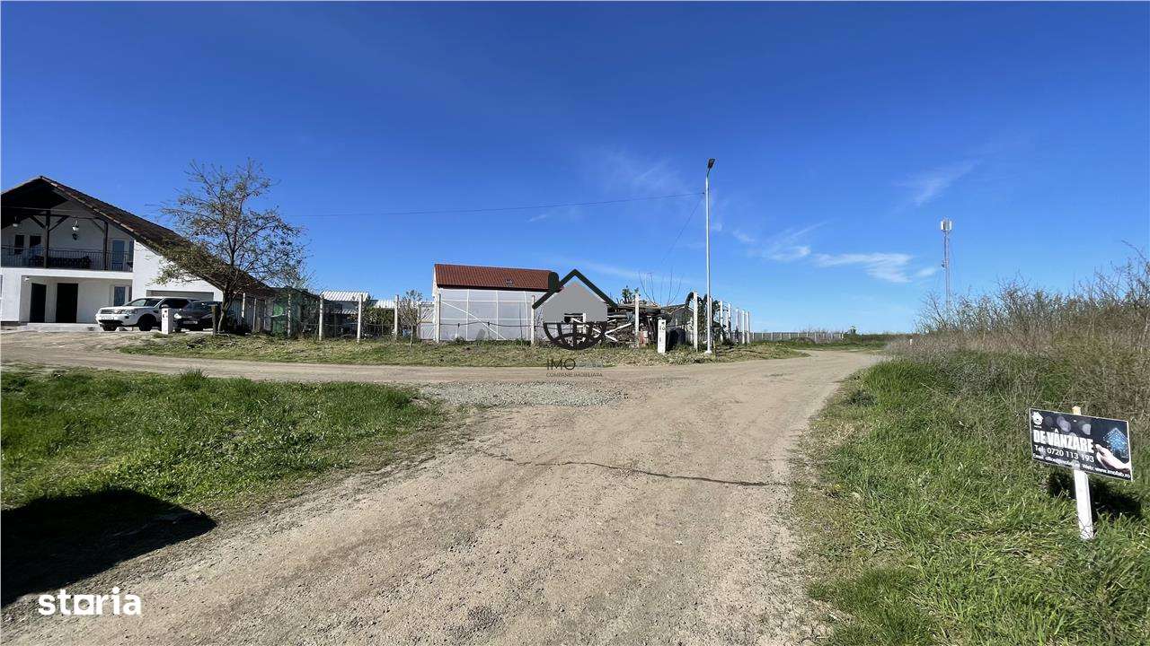 Teren Intravilan 5000mp in Buvovat - Imagine principală: 3/7