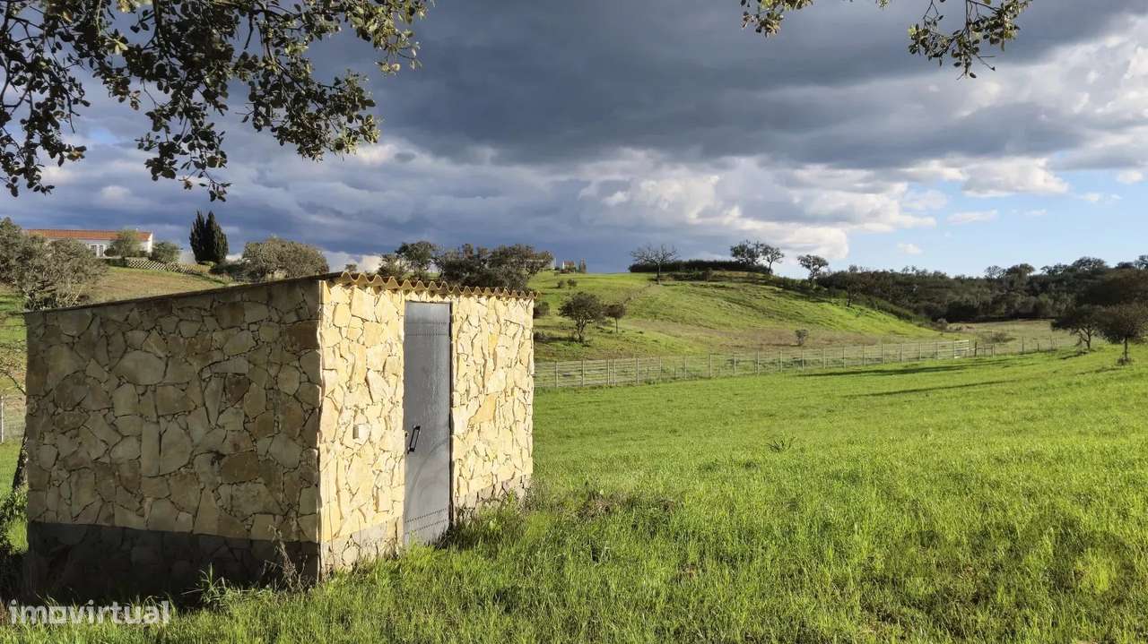 Casa senhorial privada com piscina em mais de 5 hectares.-53