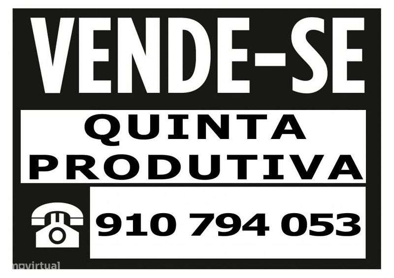 Pomar em produção - Grande imagem: 4/12