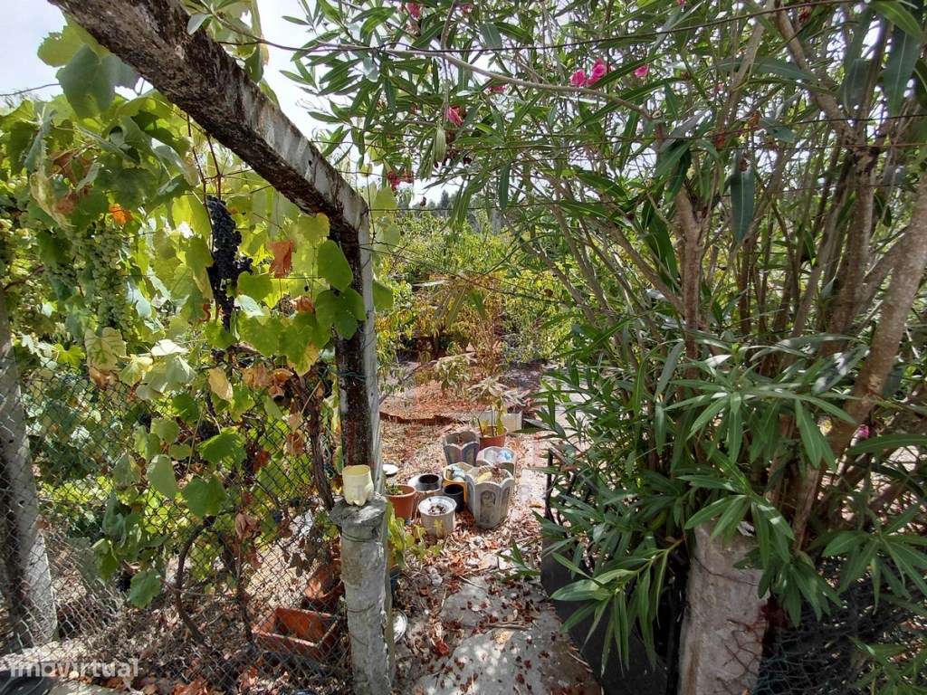 Moradia mobilada para arrendamento Foz do Arelho - Grande imagem: 5/25