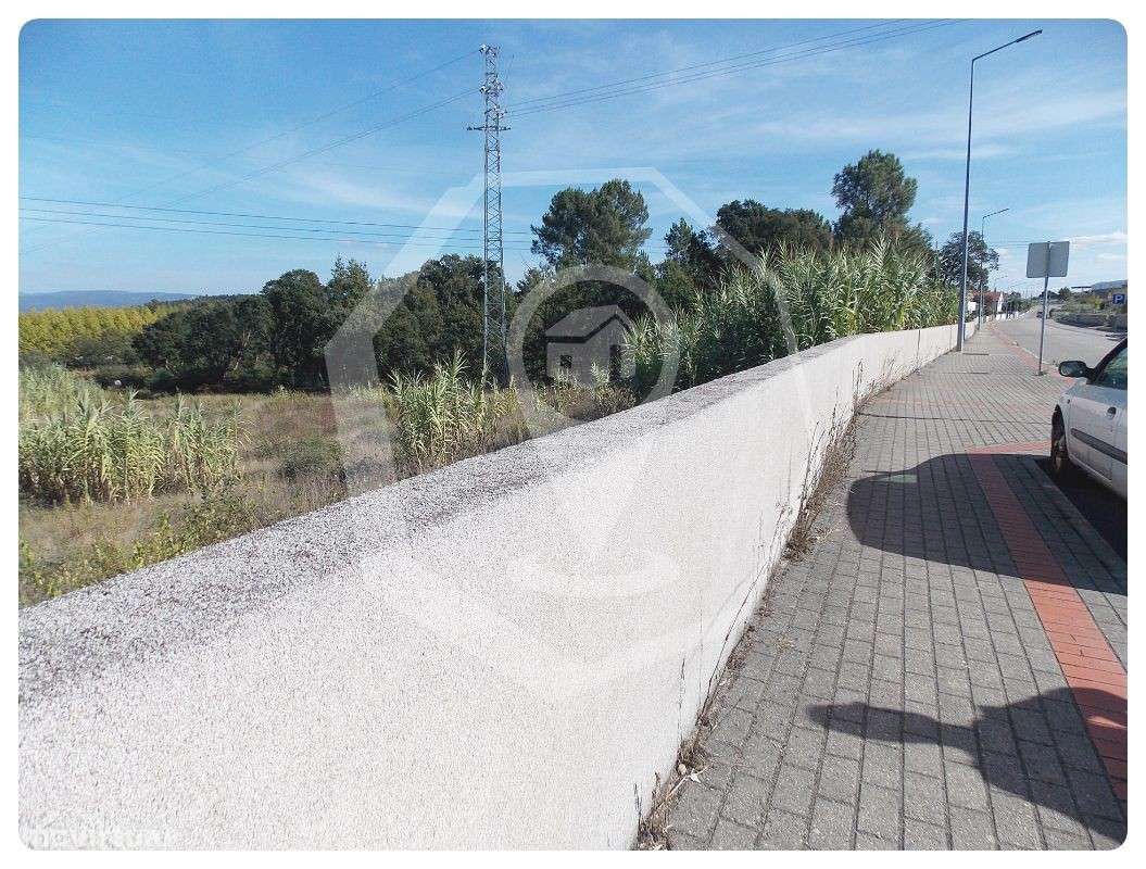 Terreno para Construção 6 moradias em Oliveira do Bairro - Grande imagem: 4/7