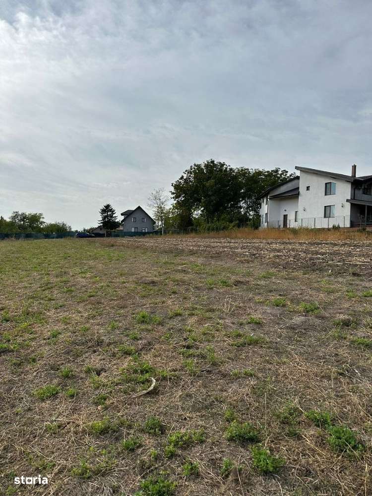 Belciugatele, vanzare teren intravilan, deschidere la lac - Imagine principală: 5/20