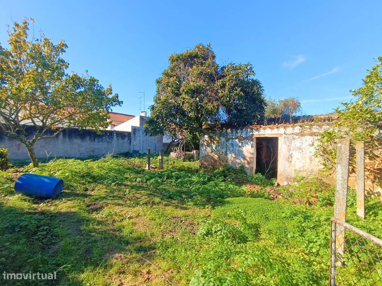 Moradia em ruina, Santarém - Grande imagem: 5/13