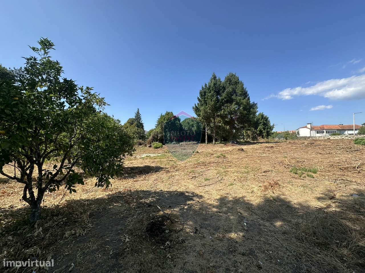 Terreno Urbano  Venda em Currelos, Papízios e Sobral,Carregal do Sal - Grande imagem: 5/13