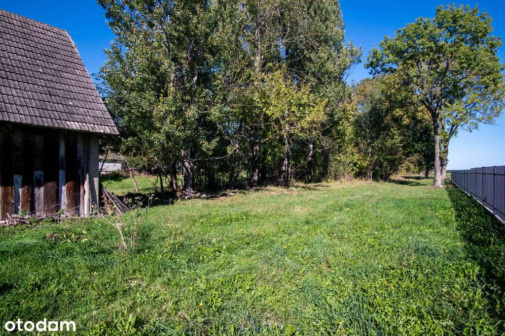 Siedlisko + WZ na dom jednorodzinny! Dobrzyniówka! - Pełny obrazek: 5/12