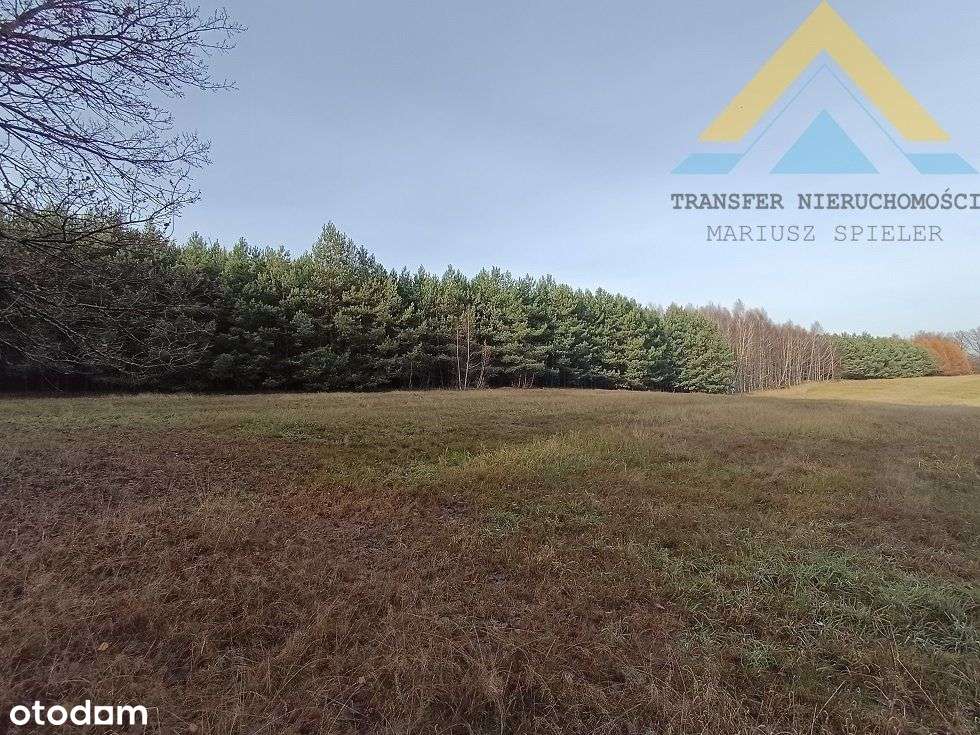 Działka leśna w Chłopowie 3,24 ha , 230 tys.!-3