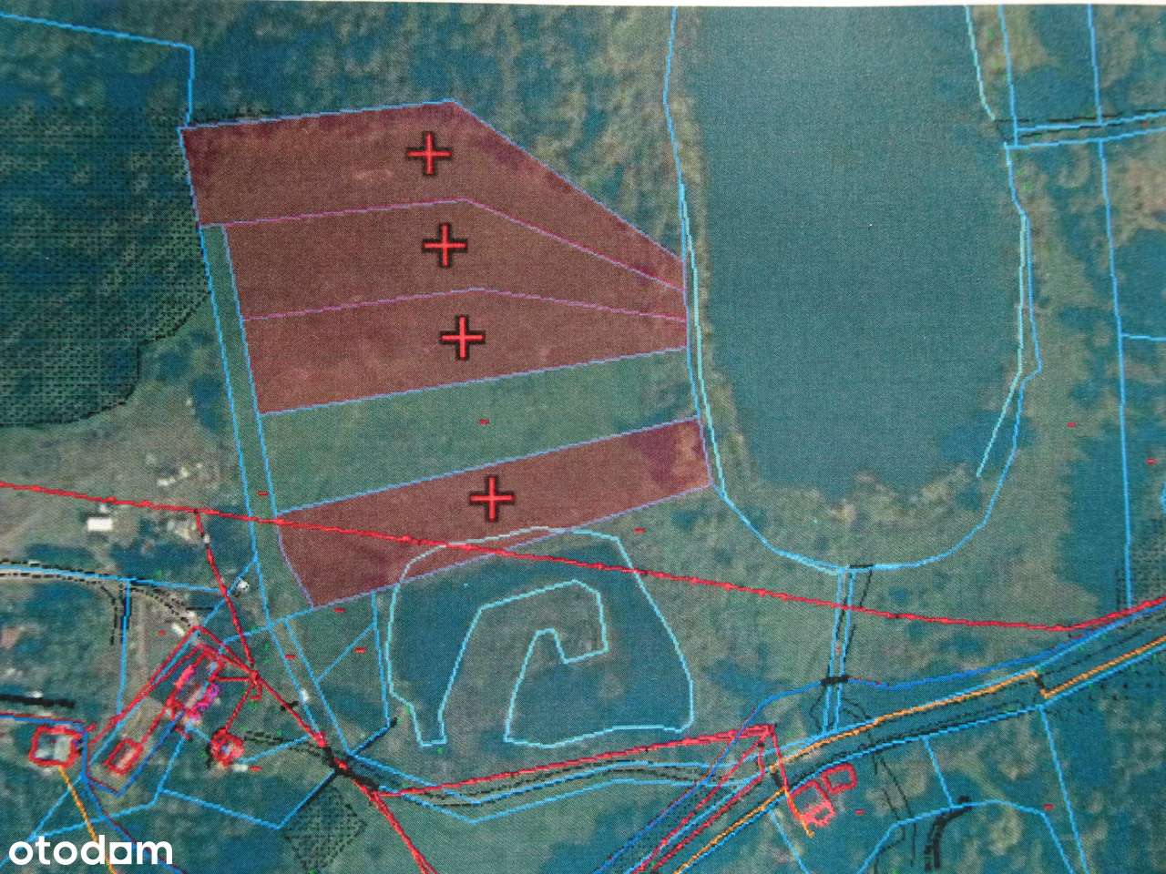 Działka z linią brzegową jeziora Myśliwskiego - Komorowo gmina Łukta - Pełny obrazek: 2/11