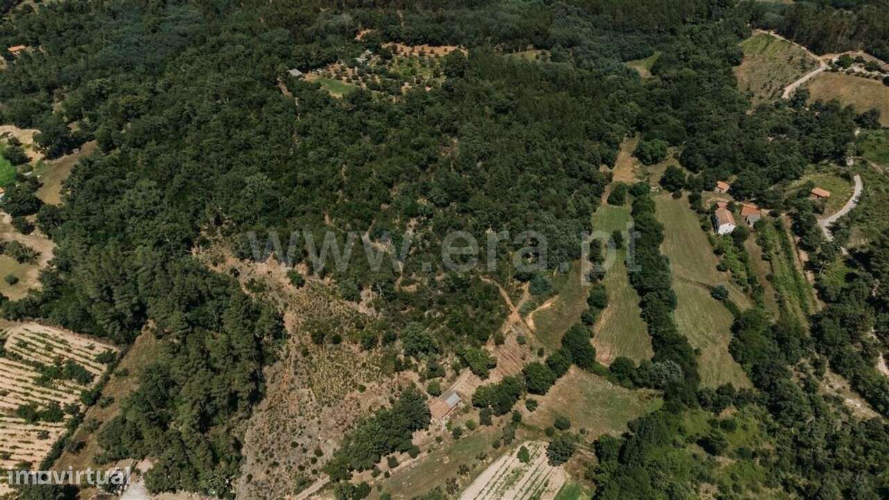 Terreno Rústico / Fundão, Fatela - Grande imagem: 3/20