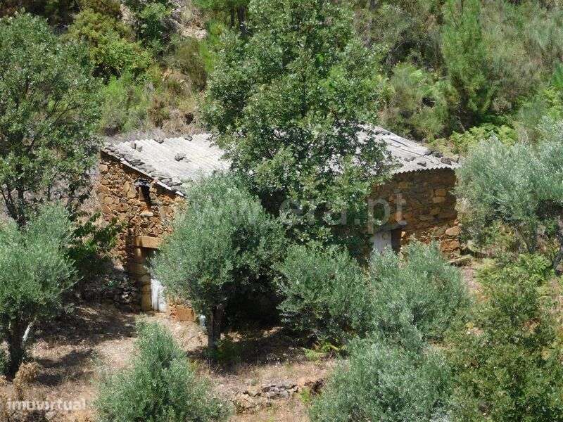 Quinta / Fundão, Lavacolhos - Grande imagem: 3/11