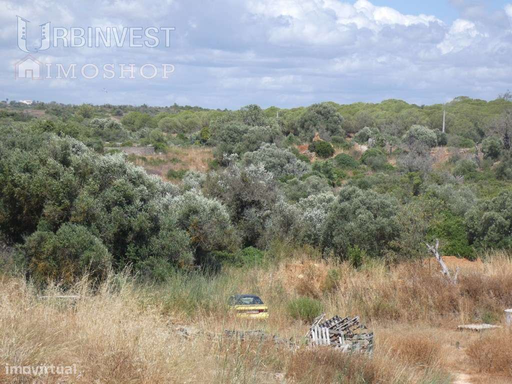 Excelente terreno com cerca de 3 hectares, sítio da Hortinha, Ferra... - Grande imagem: 5/19