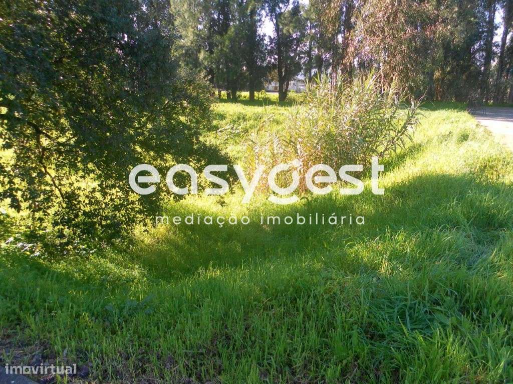 Lote de Terreno Urbano 253m2 para Moradia - Entroncamento - Grande imagem: 3/8