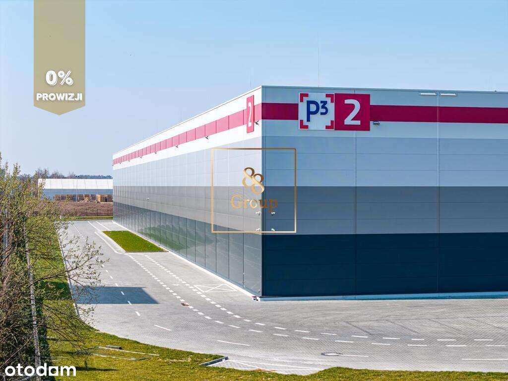 Nowoczesny magazyn 18 000m2. Marysin - Pełny obrazek: 5/7