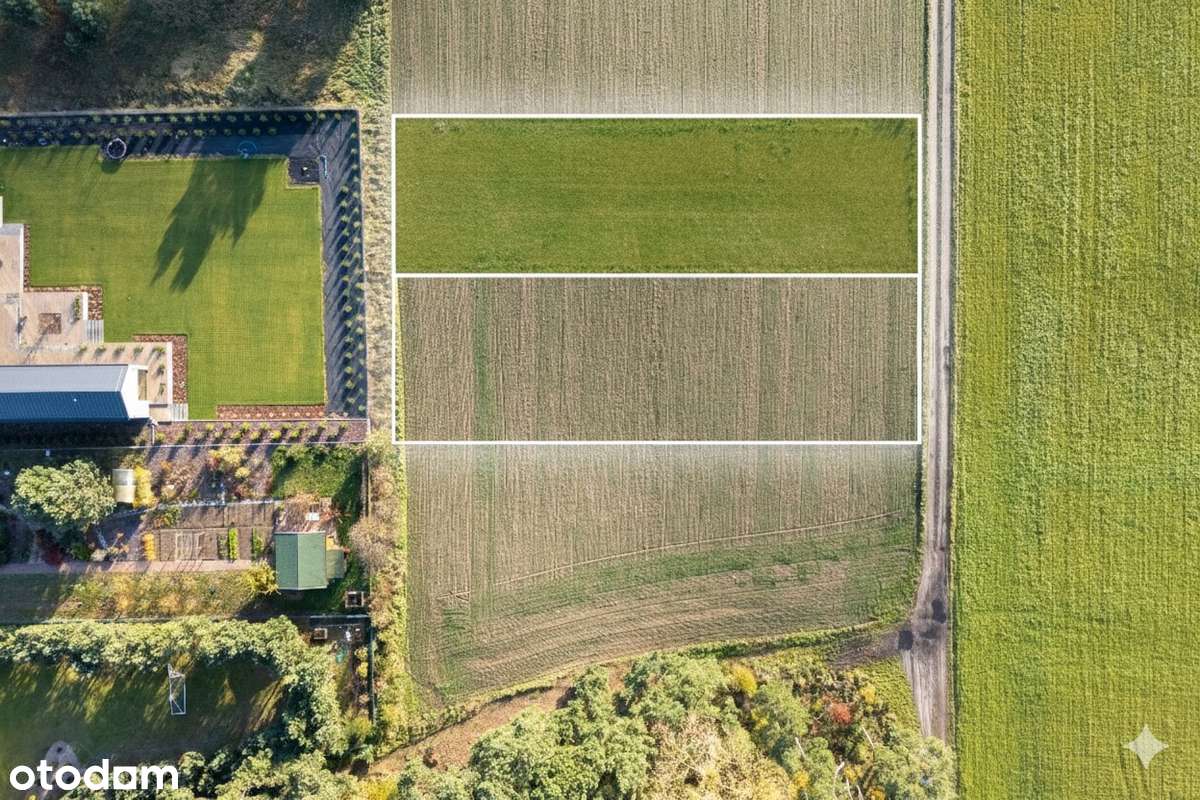 Działka 1674 m² – Poznań, Szczepankowo • WZ • tuż przy lesie • nr 2/3-2