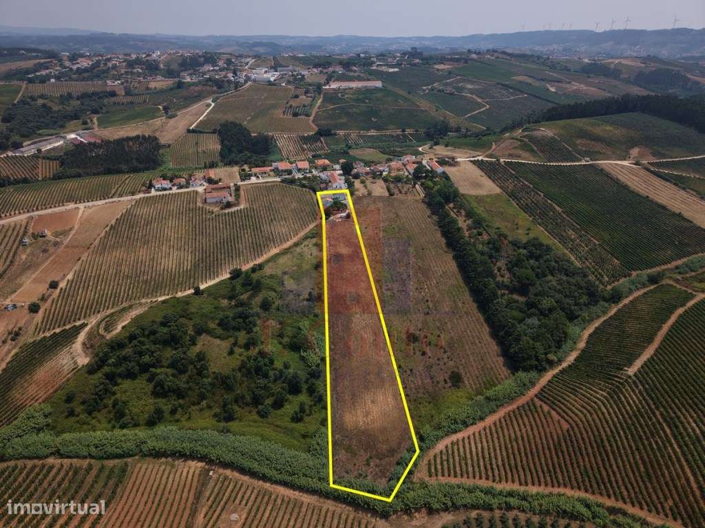 Moradia T3 com Terreno de 7.868 m² | Vista Panorâmica sobre o Campo...-3