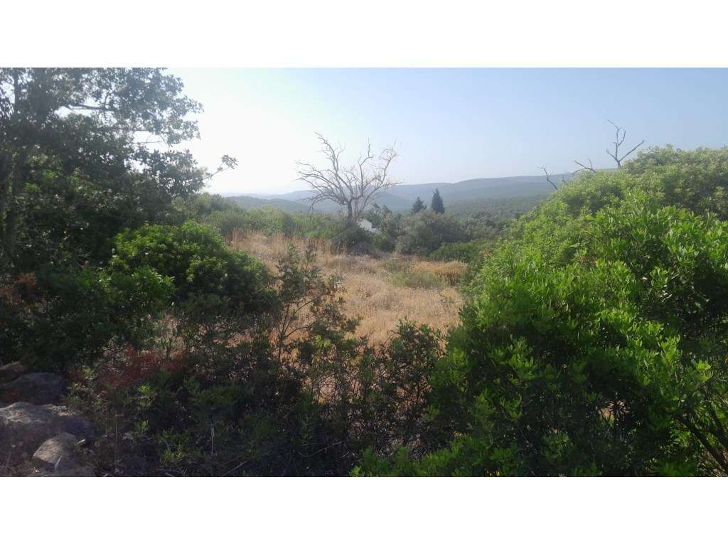 Terreno Rútico com 1570m2, Boliqueime, Loulé - Grande imagem: 5/12