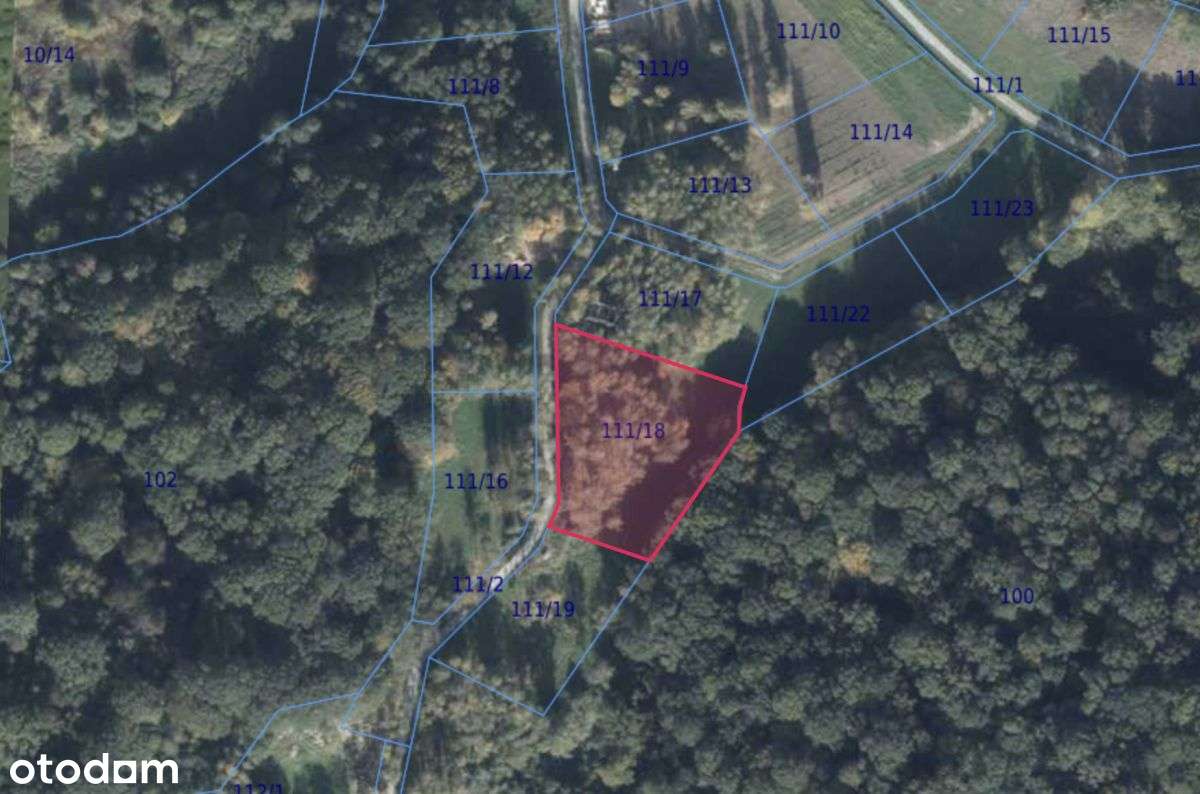 Działka z Wydanymi warunkami zabudowy - Pełny obrazek: 5/10