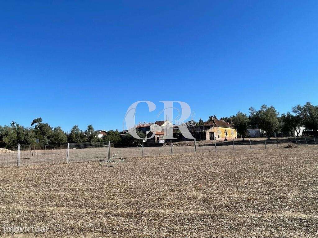 6 Prédios Urbanos e um Terreno Rústico para Renovação – Lousã-39