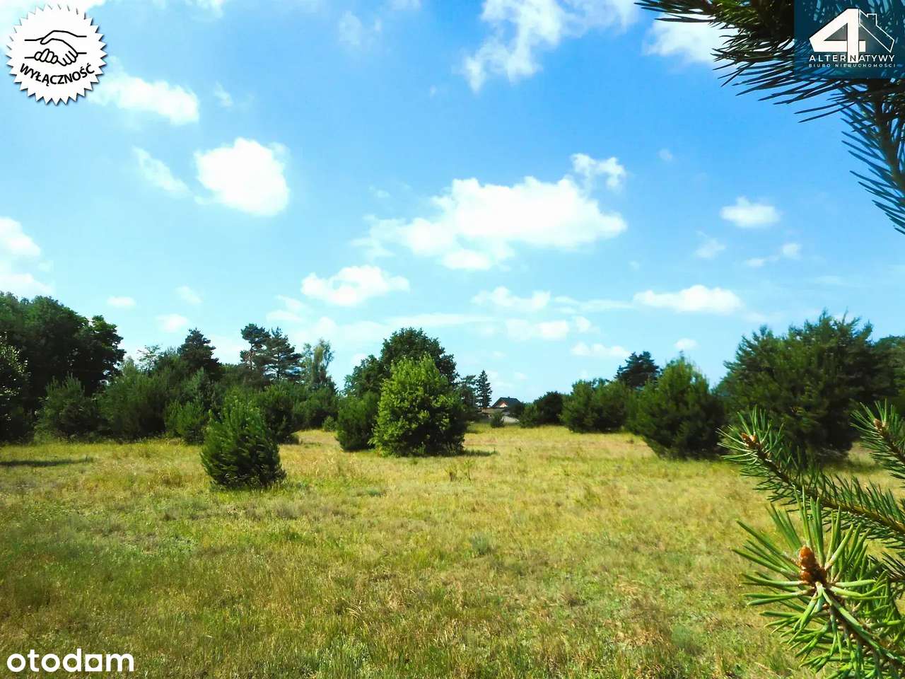 Działka w dobrej lokalizacji - okolice Pabianic - Pełny obrazek: 4/8