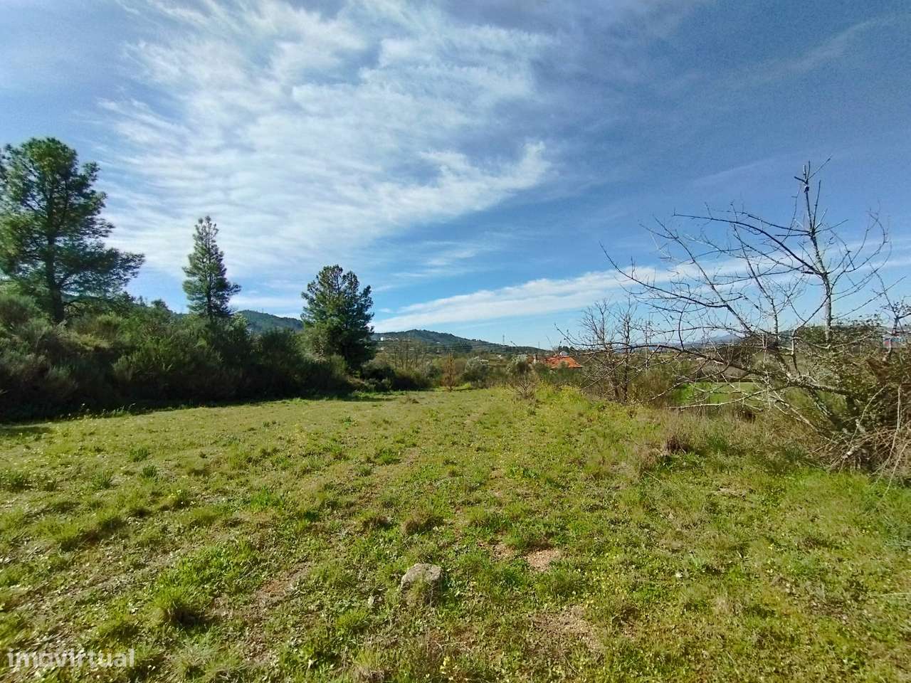 Quinta/Terreno - Monte Serrano - Ferro - Grande imagem: 5/7