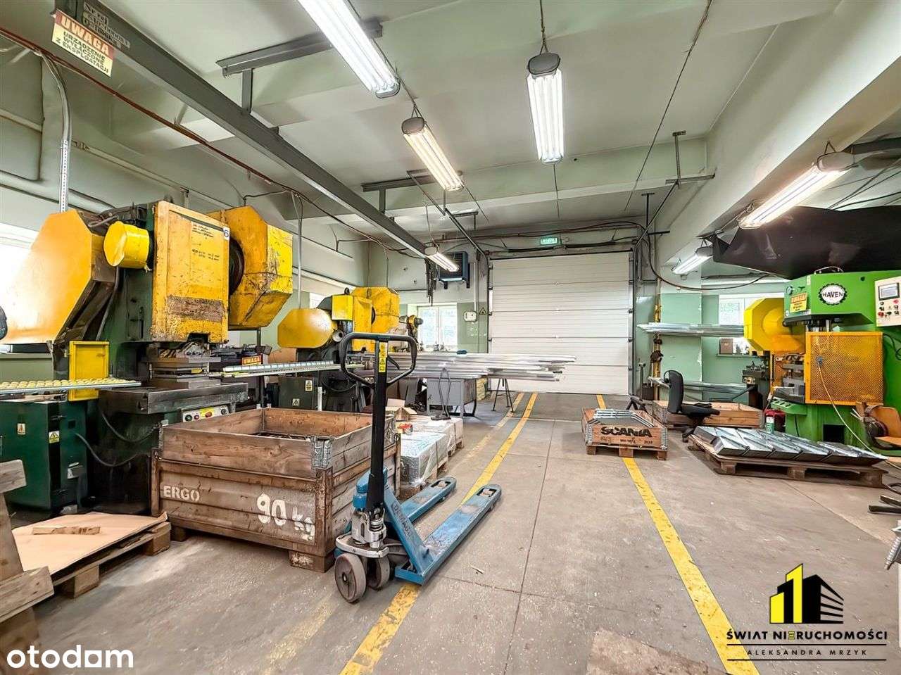 Budynki Produkcyjne z Ogromnym Potencjałem - Pełny obrazek: 4/20