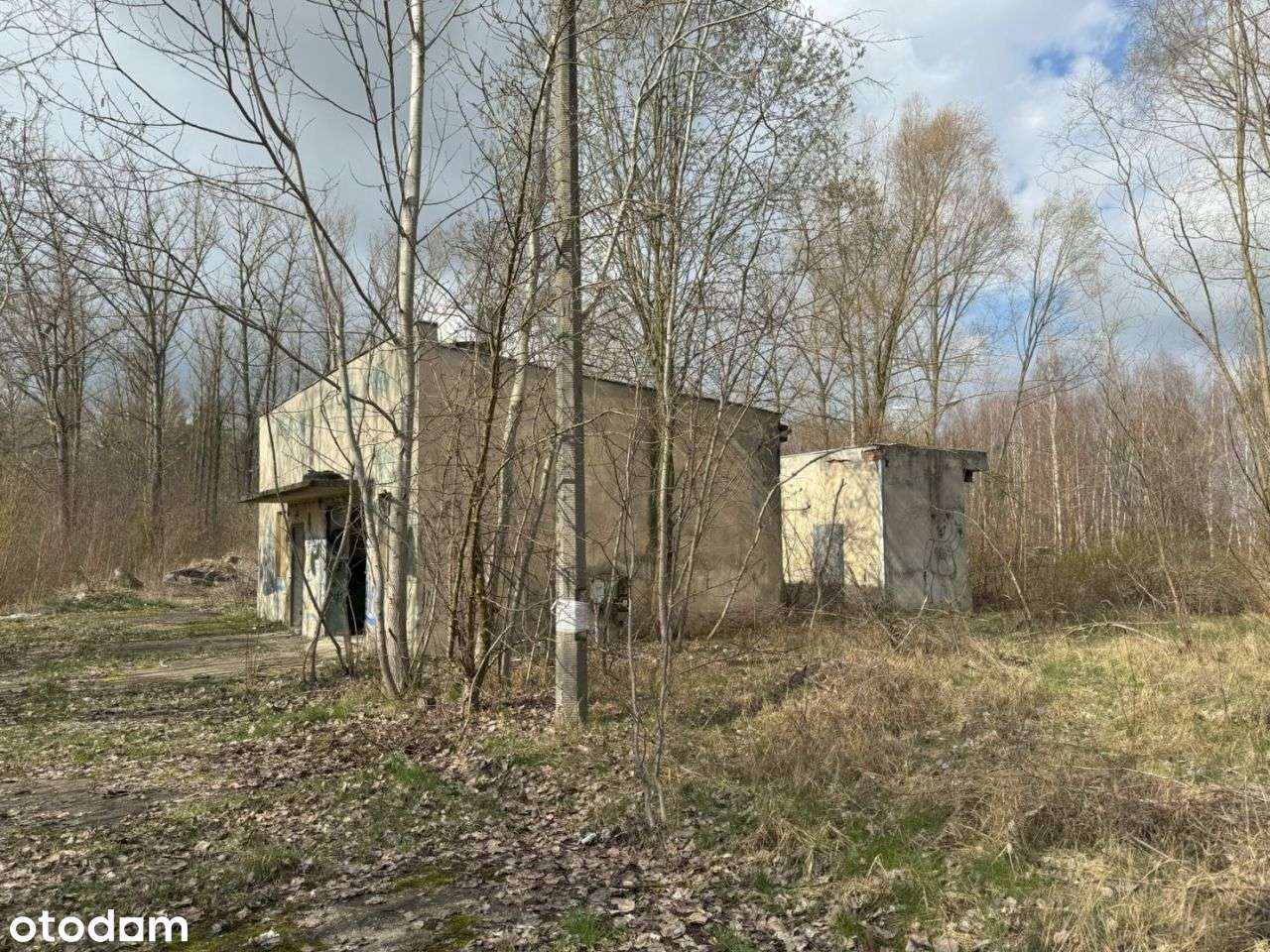 Działki 20000m2, Leźnica Wielka - Pełny obrazek: 3/3