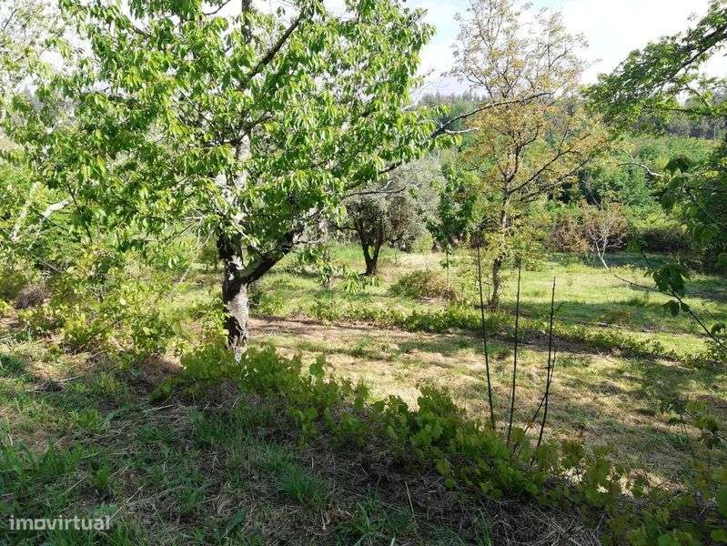 À venda de terreno em rua Professora Maria Irene Gonçalves Mota - Grande imagem: 5/7
