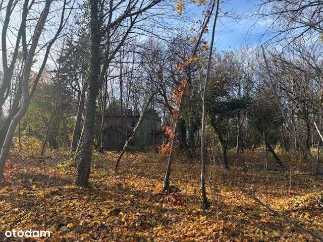 Dom przedwojenny w Puszczykowie-6