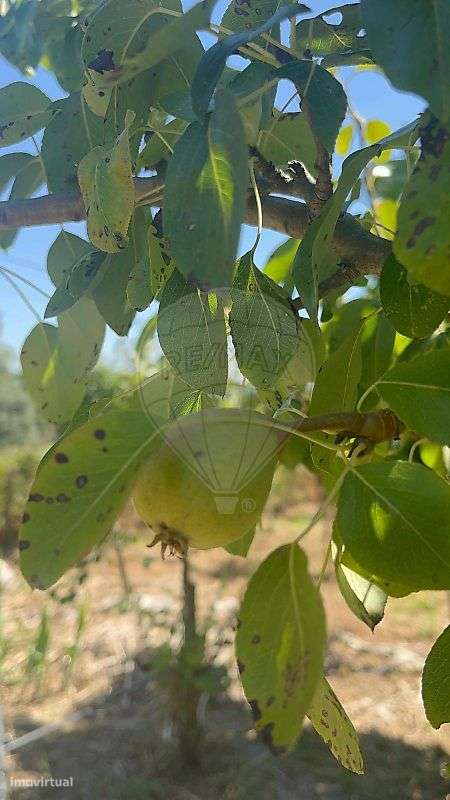 Moradia T2 para venda-27