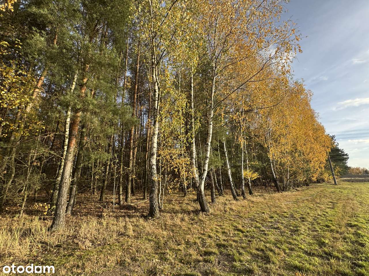 Działka w okazyjnej cenie. Bieniewiec Żabia Wola-1